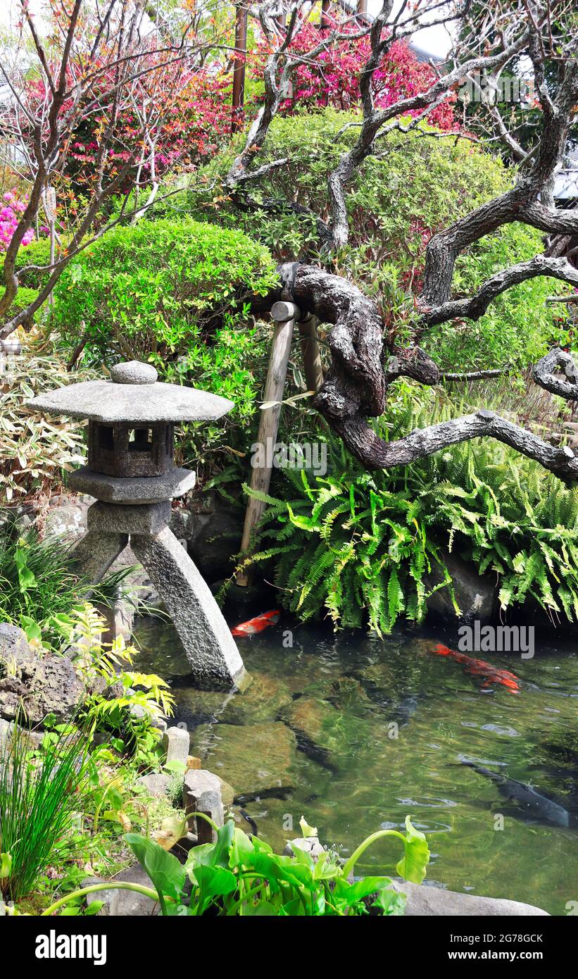 Decorative pond and ancient stone lantern in Hasedera (Hase-dera) temple, Kamakura, Japan Stock Photo
