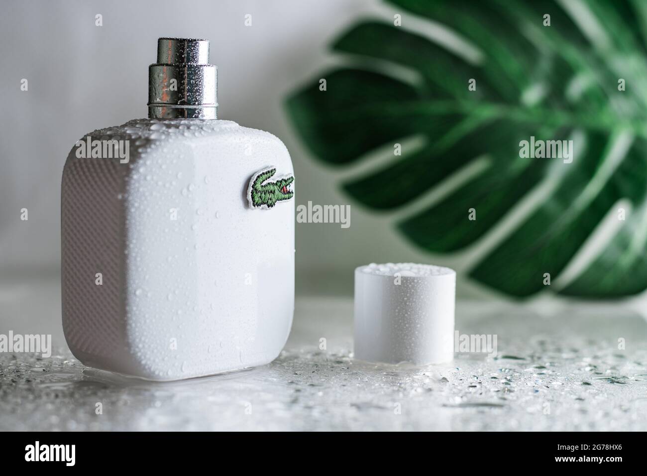Minsk, Belarus 07.05.2021: White open perfume bottle with Lacoste logo on  wet surface with drops on white and monstera leaf background Stock Photo -  Alamy