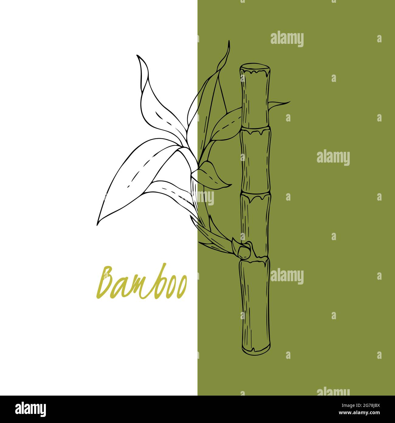Bamboo stick with sprouts, leaves, doodling hand drawing. Background