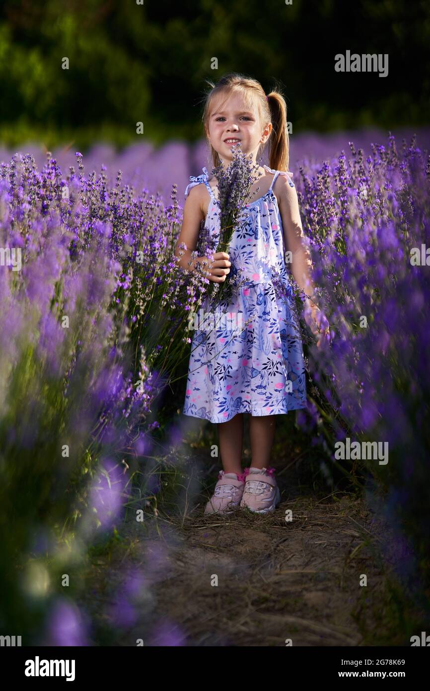 Adorable little girl holding a lavender bouquet in the middle of the ...