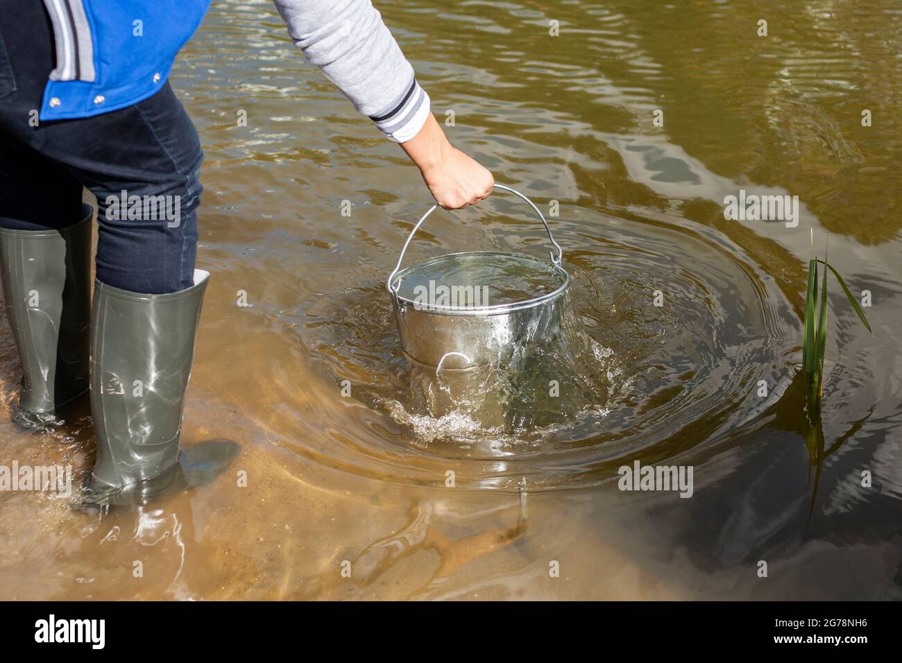 Bucket with water. A man draws water from a pond. Taking water from a