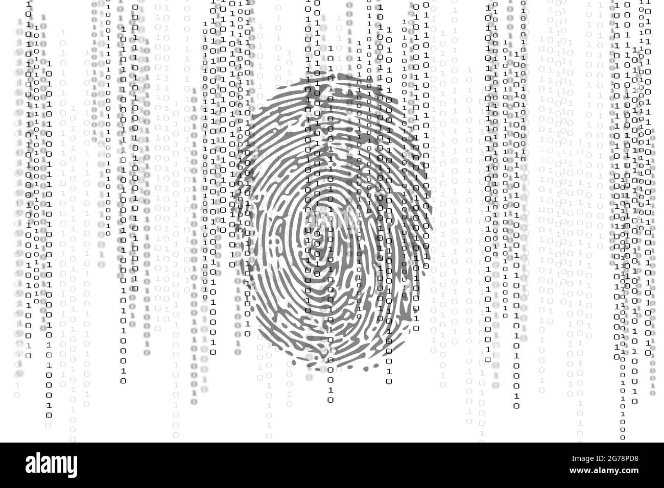 binary code white background with fingerprint. Network, digital data security concept Stock Photo