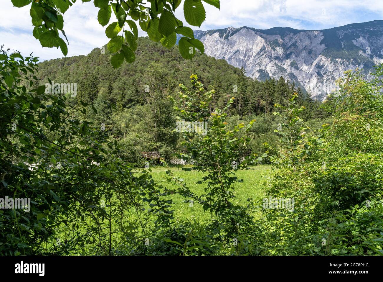 Europe, Austria, Tyrol, Ötztal Alps, Ötztal, view over a green meadow to the mighty Tschirgant massif Stock Photo