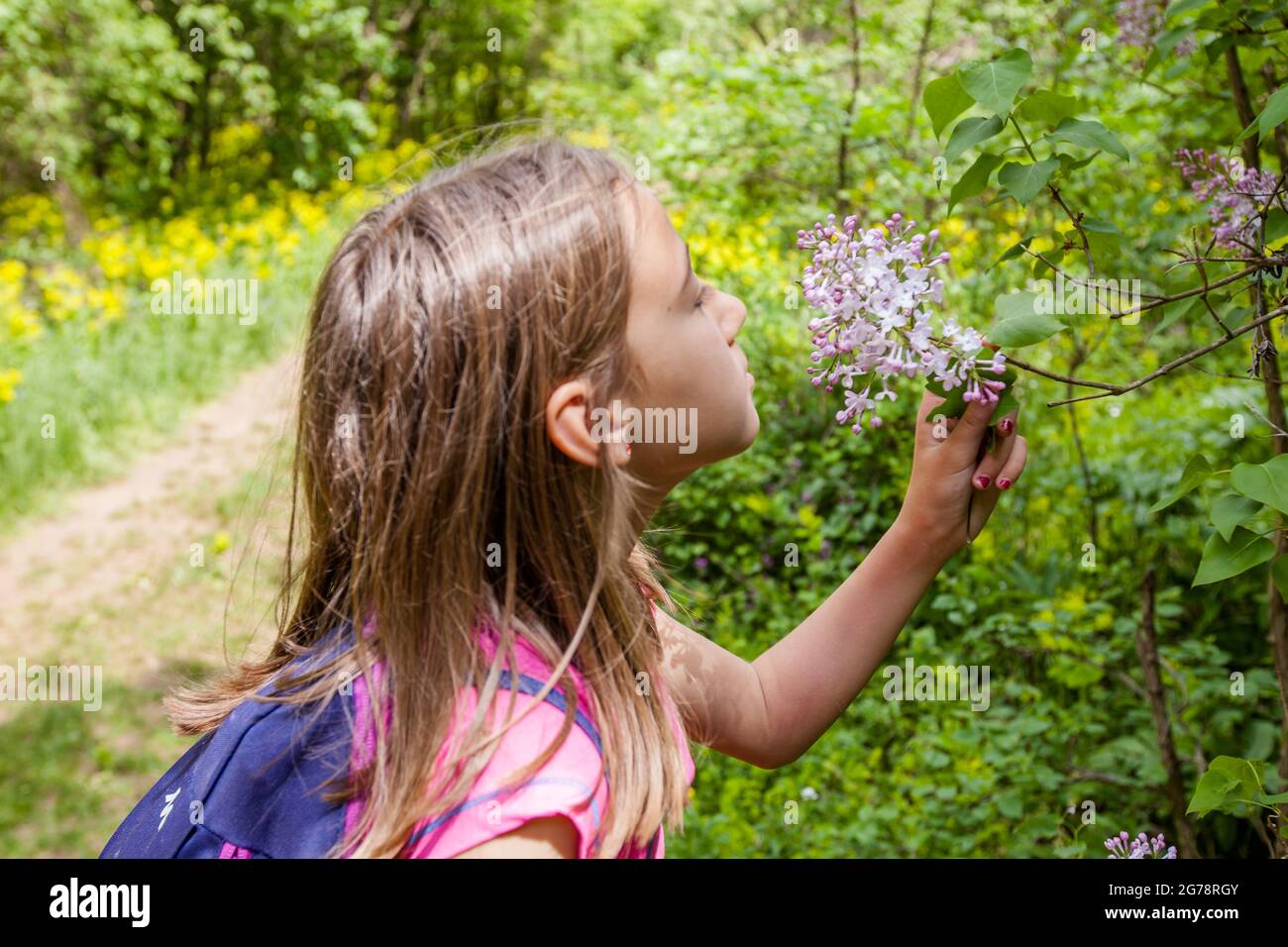 Little girl smells spring flowers , beautiful sunny day in nature. Stock Photo