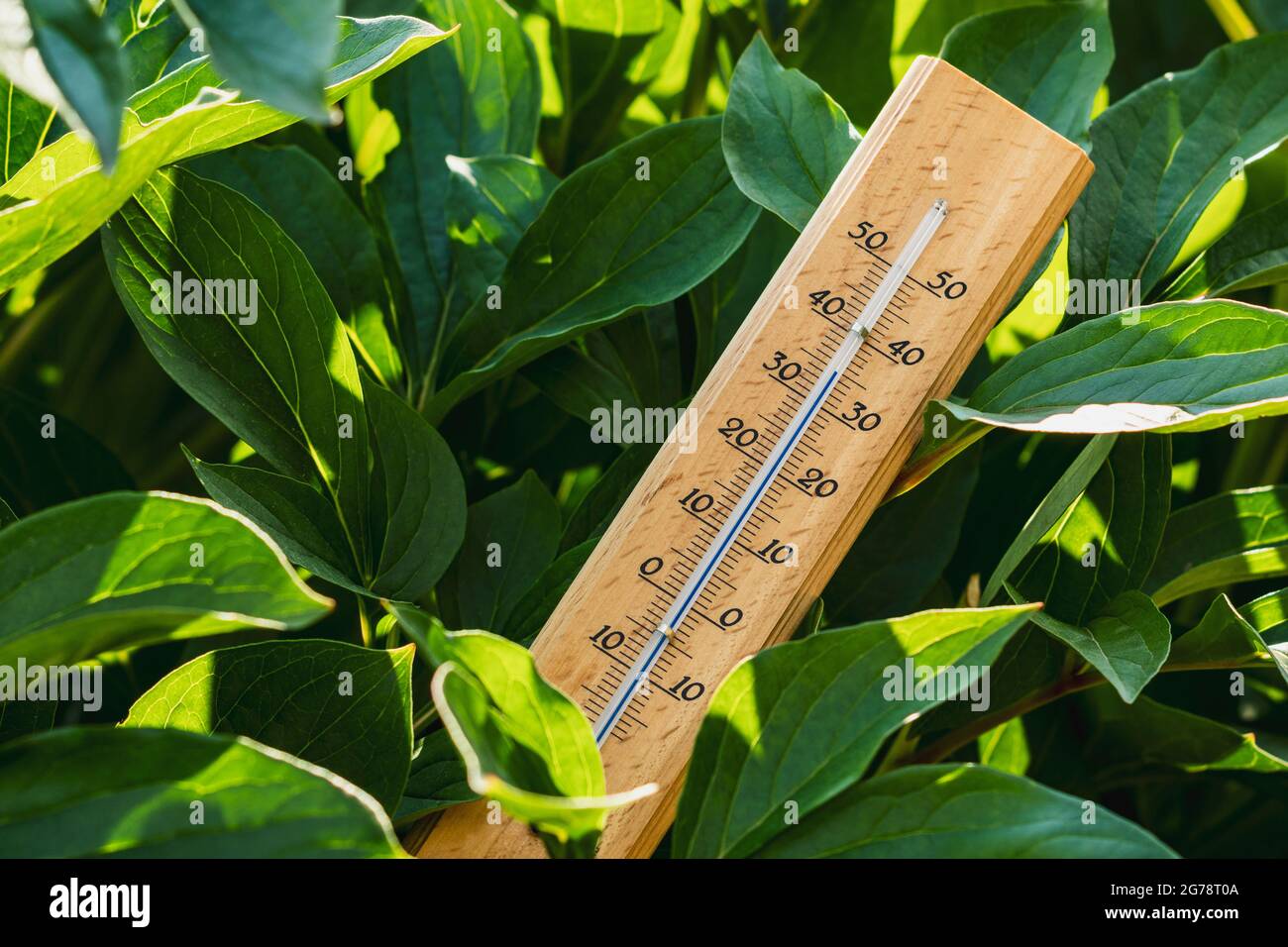 Thermometer between garden plants. Thermometer shows very hot