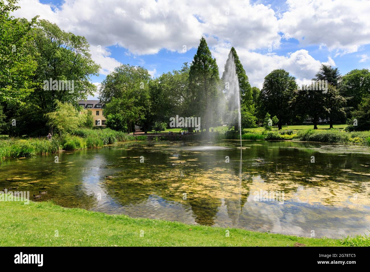 Stadtgarten Essen, public park and urban green space with pond in Essen