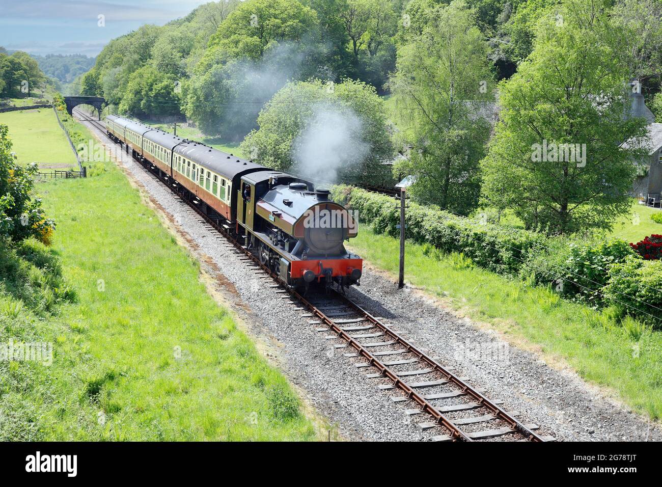 Steam Train Victor pulling 5 coaches at the Lakeside & Haverthwaite railway in Cumbria, UK Stock Photo