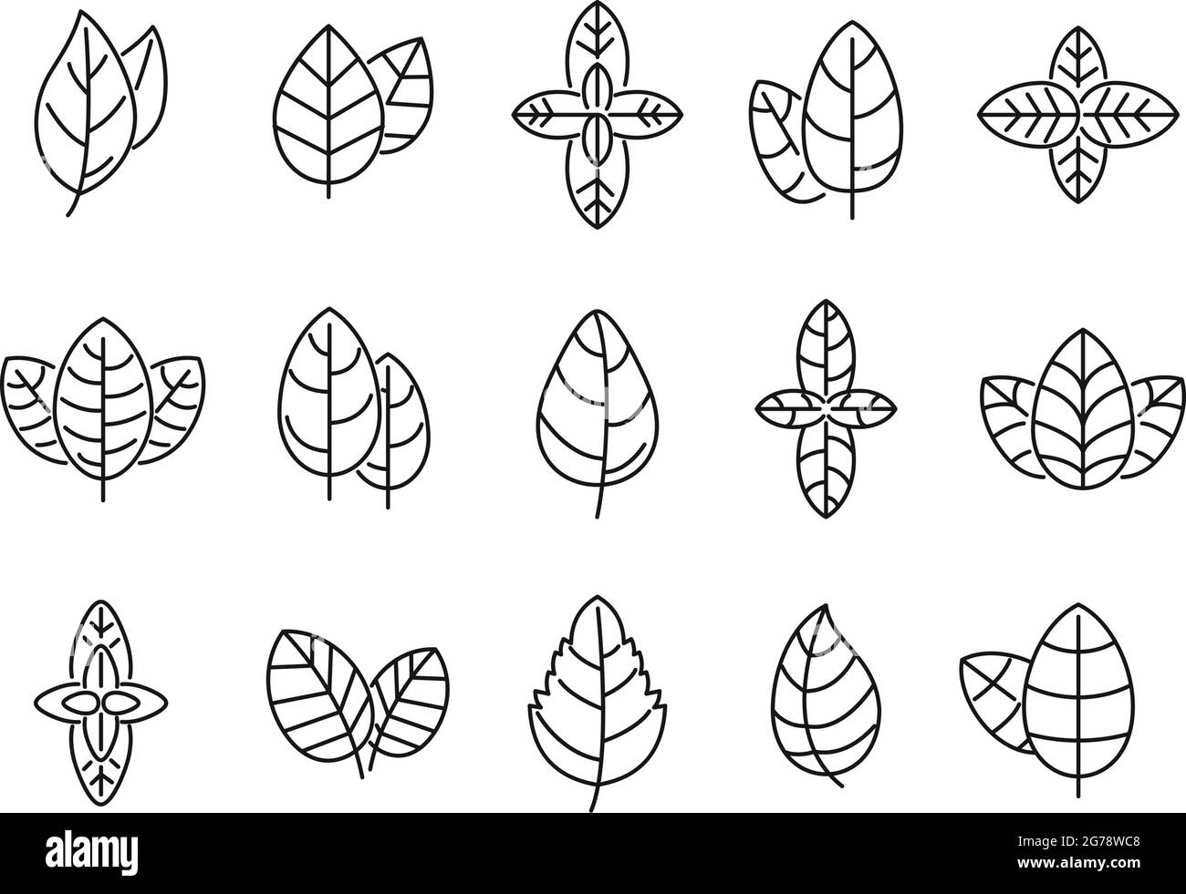 Agriculture basil icons set outline vector. Aroma leaf. Aromatic ...
