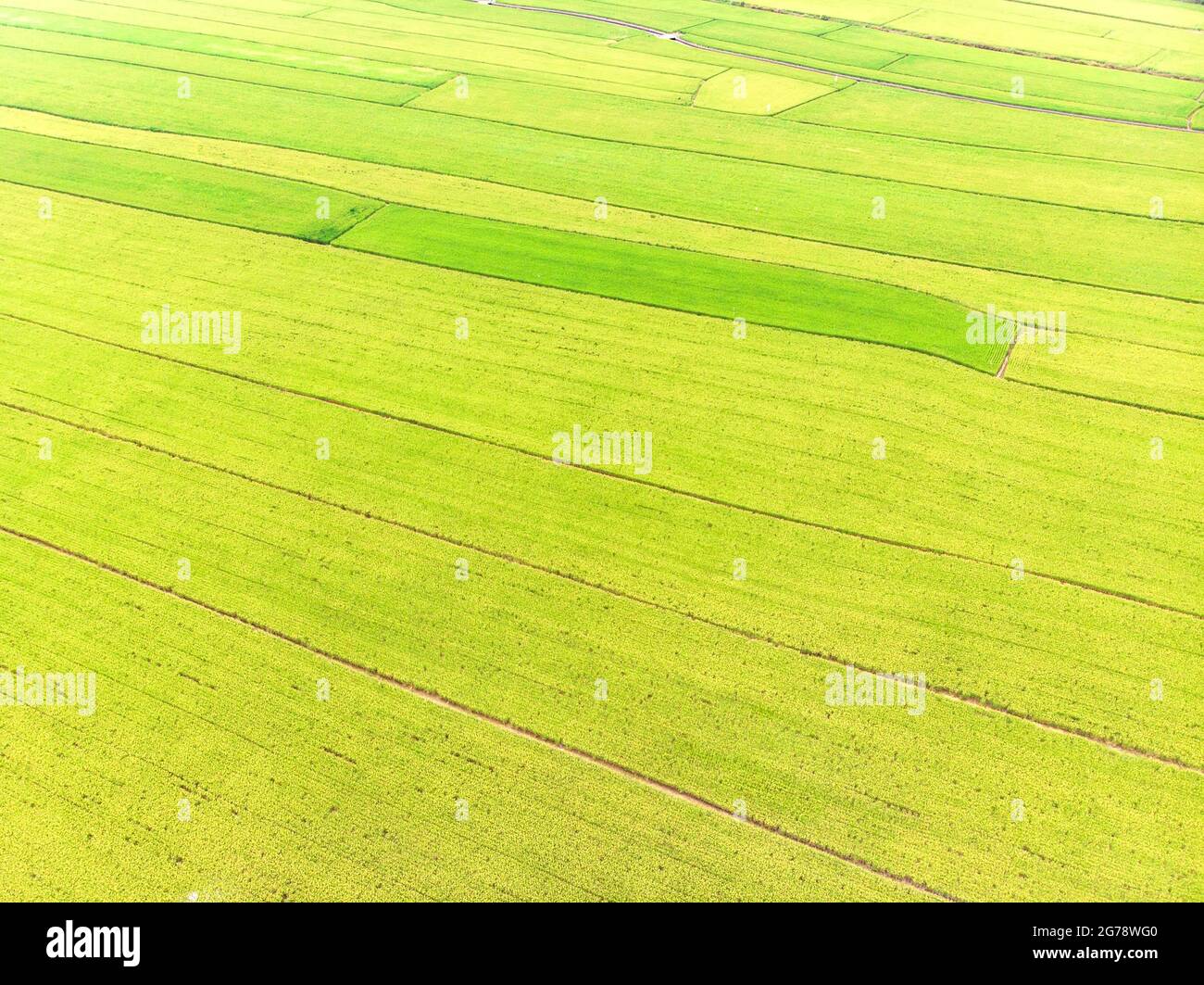 Landscape View of Guandu Plain, Taipei, Taiwan Stock Photo