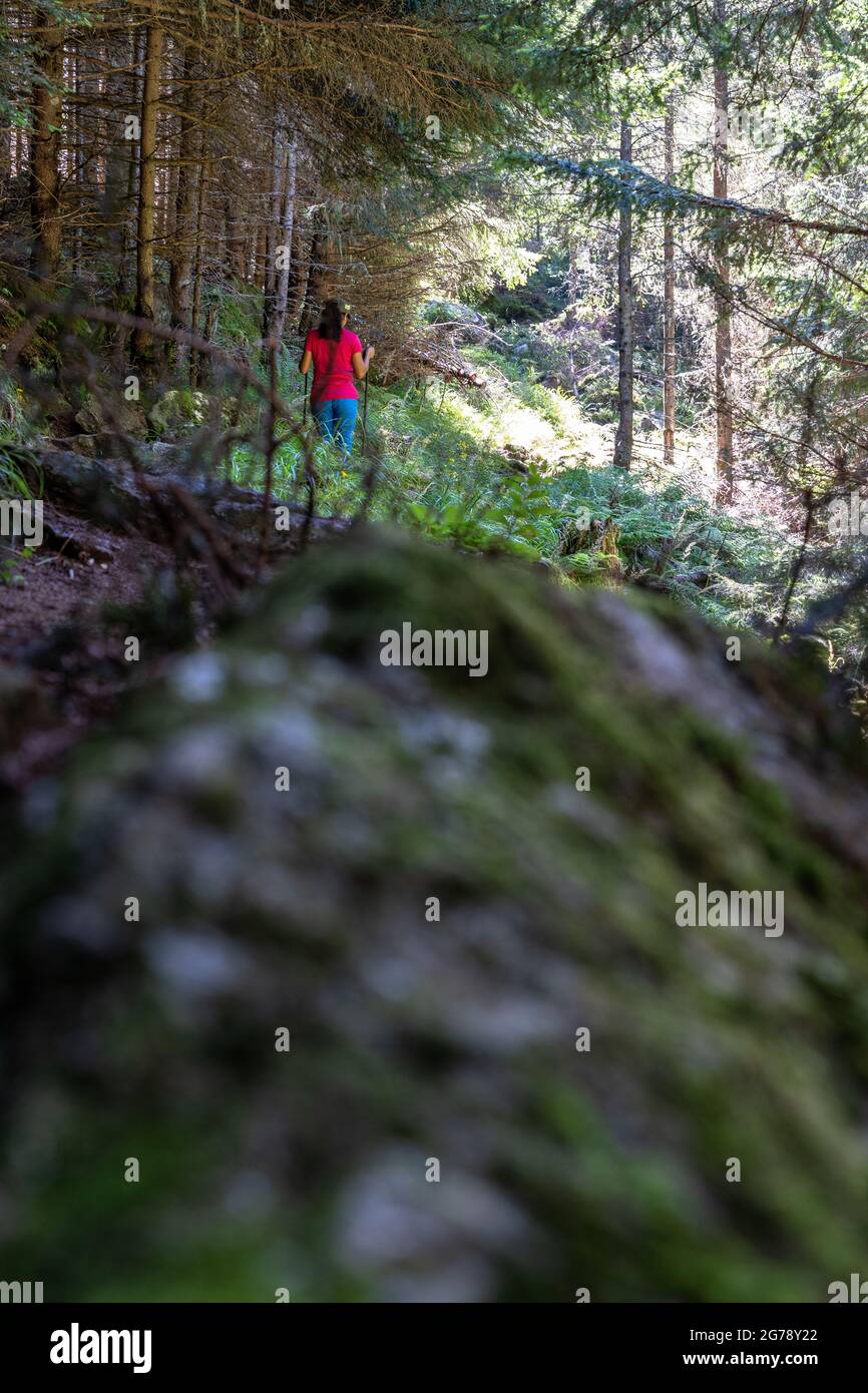 Female hiker in woods hi-res stock photography and images - Alamy