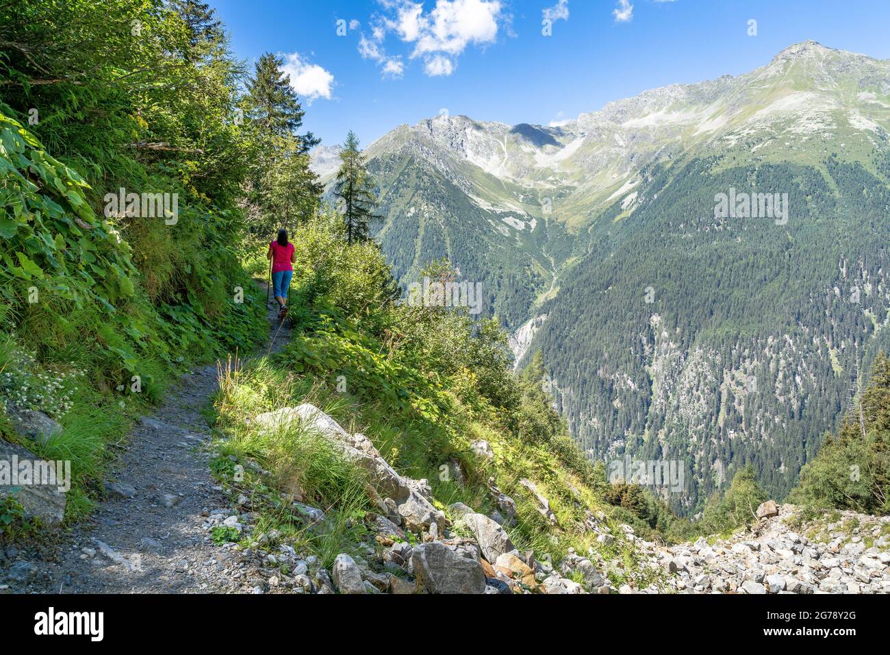 Europe, Austria, Tyrol, Stubai Alps, female hiker on the ascent to the Mischbachalm in the Stubai Stock Photo