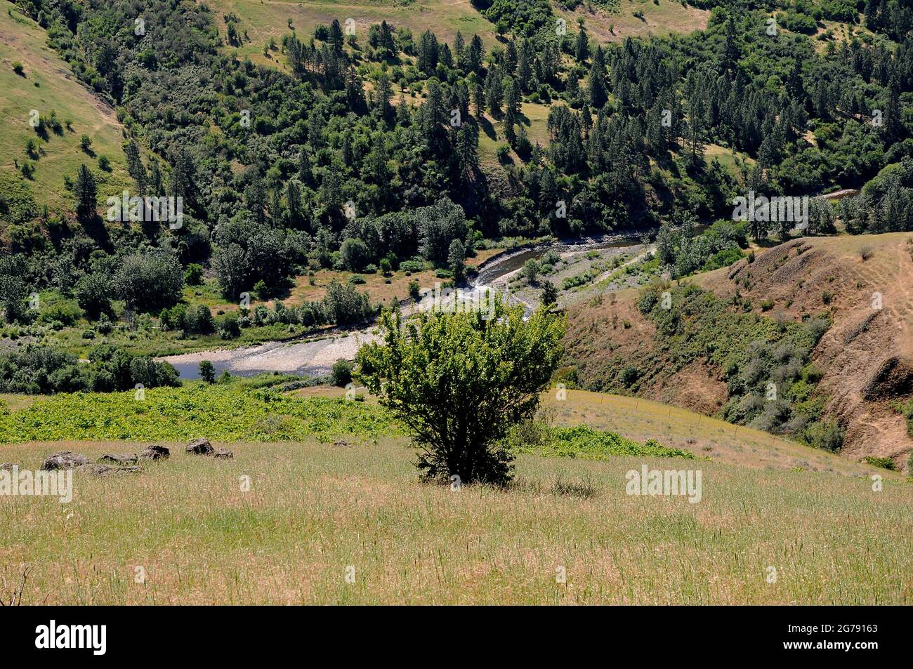 Juliaetta city hires stock photography and images Alamy