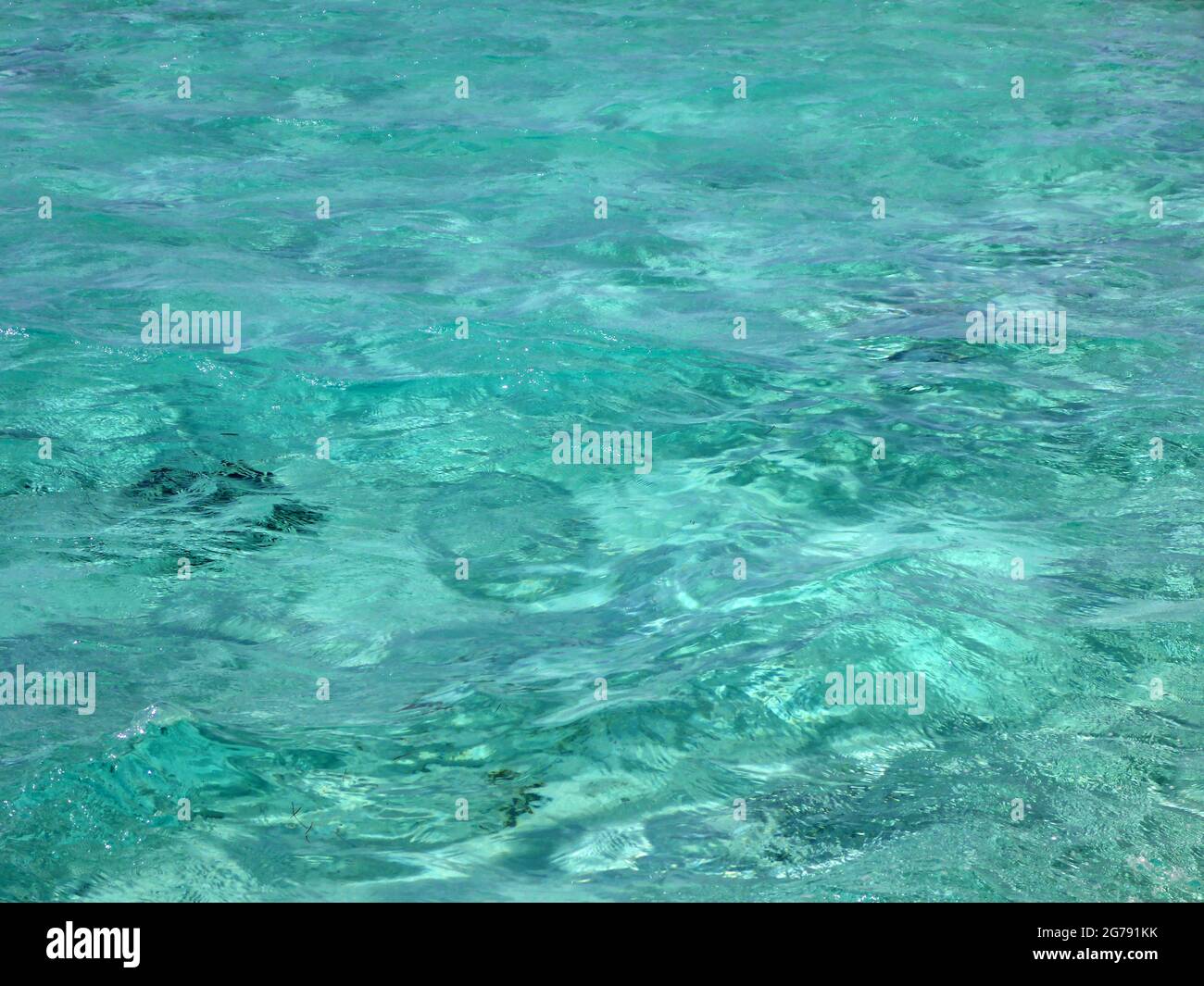 Half Moon Caye Natural Monument, Belize, Central America Stock Photo