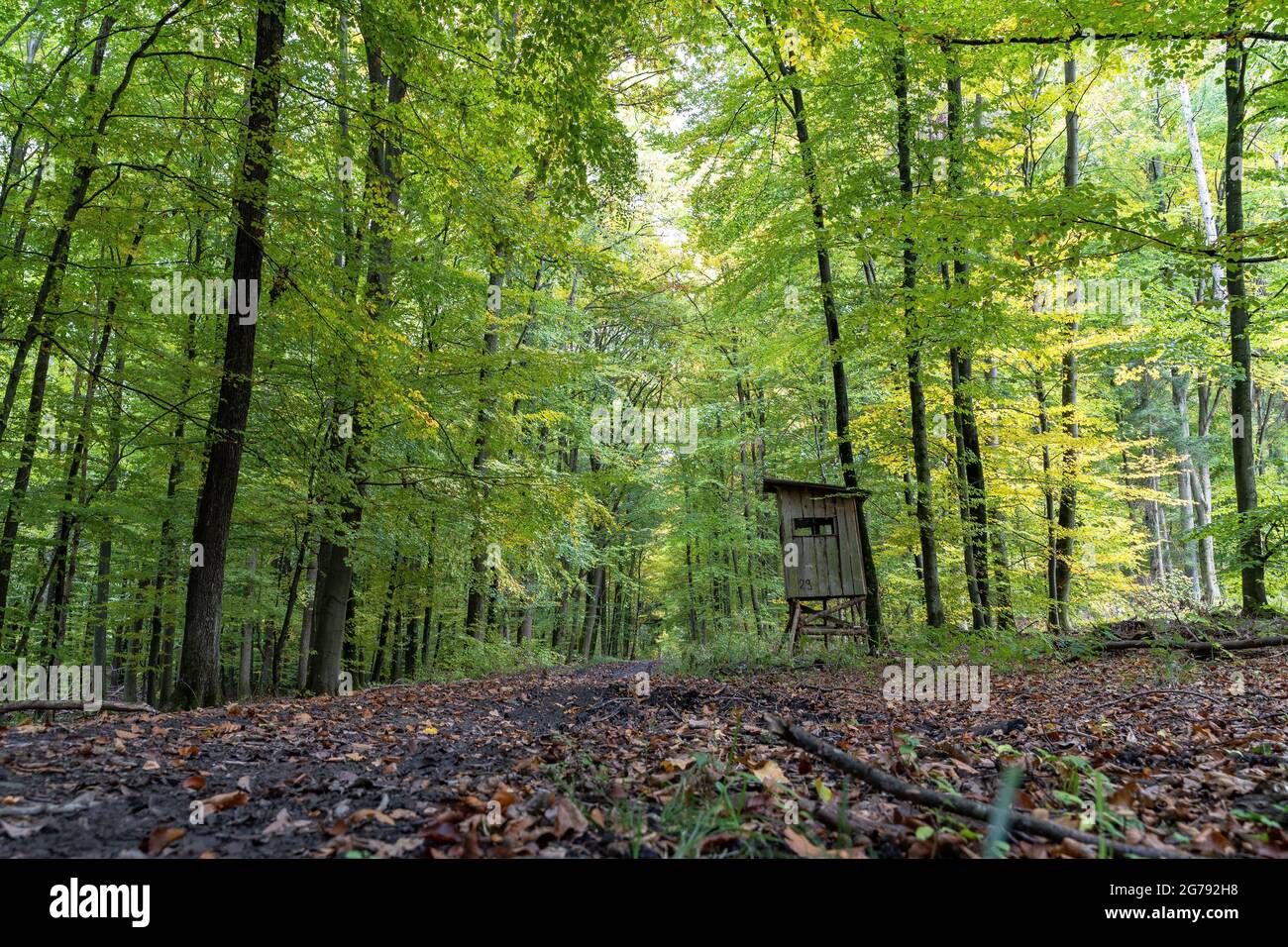 High colours hi-res stock photography and images - Alamy