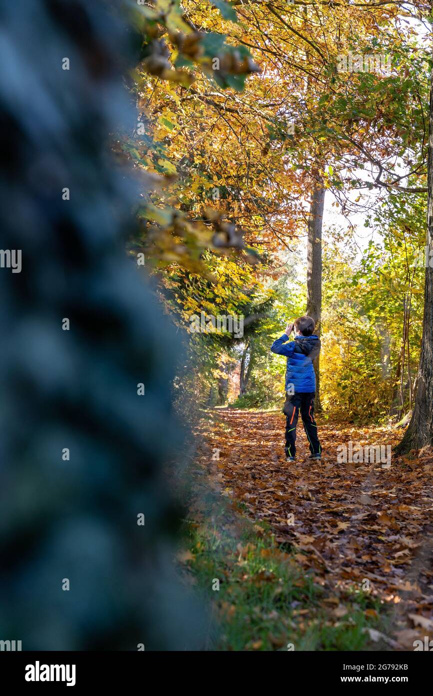 Europe, Germany, Baden-Wuerttemberg, Stuttgart, boy observes a bird in the autumn forest with binoculars Stock Photo