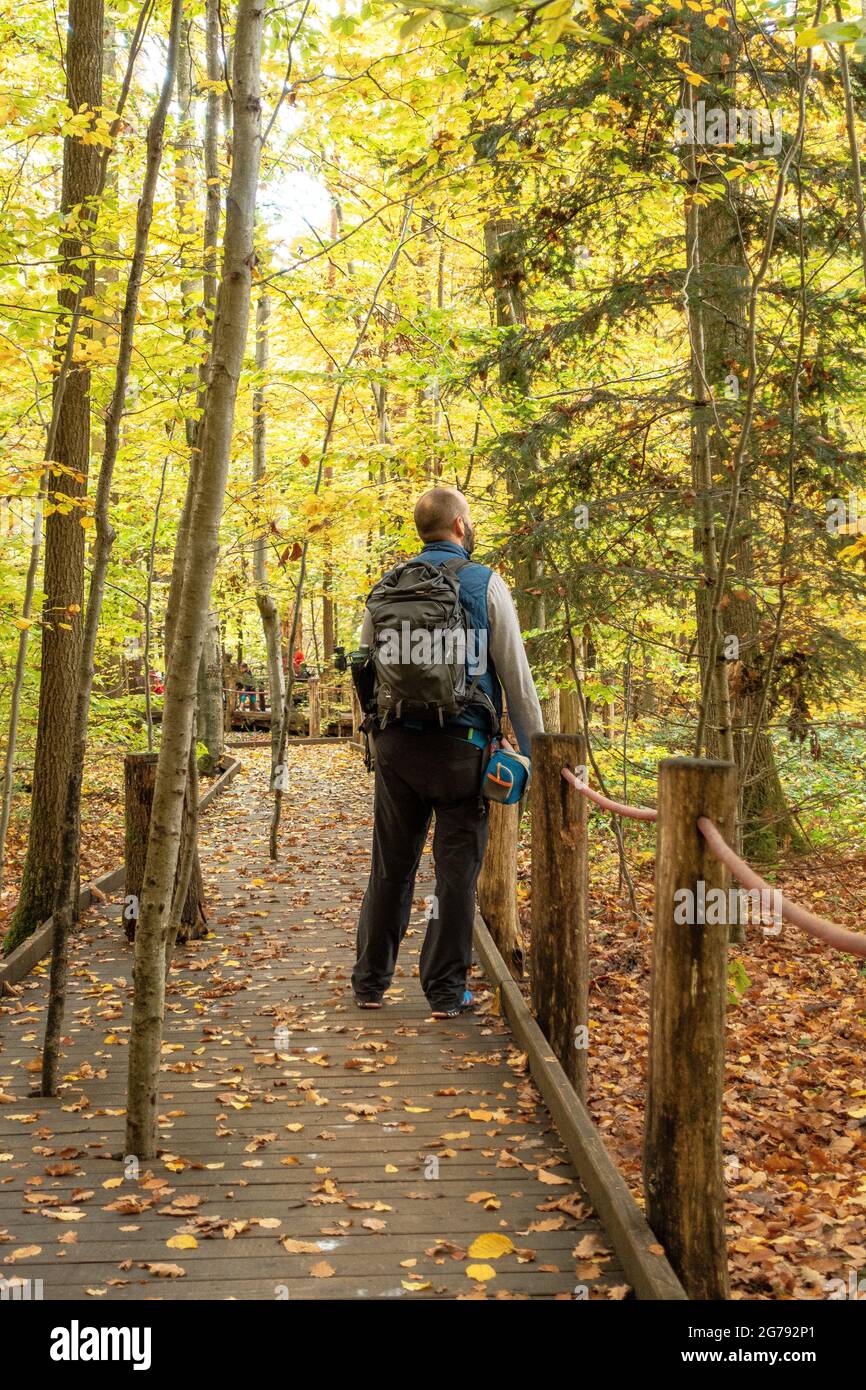 Europe, Germany, Baden-Wuerttemberg, Stuttgart, hikers on a boardwalk ...