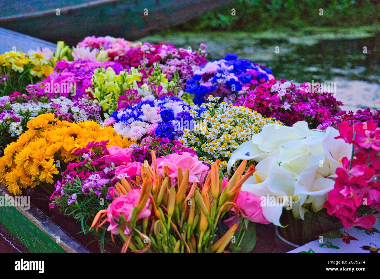 Flowers on shikara boat at floating market in morning. View of Dal Lake in Srinagar, Kashmir State, India. June 2018 Stock Photo