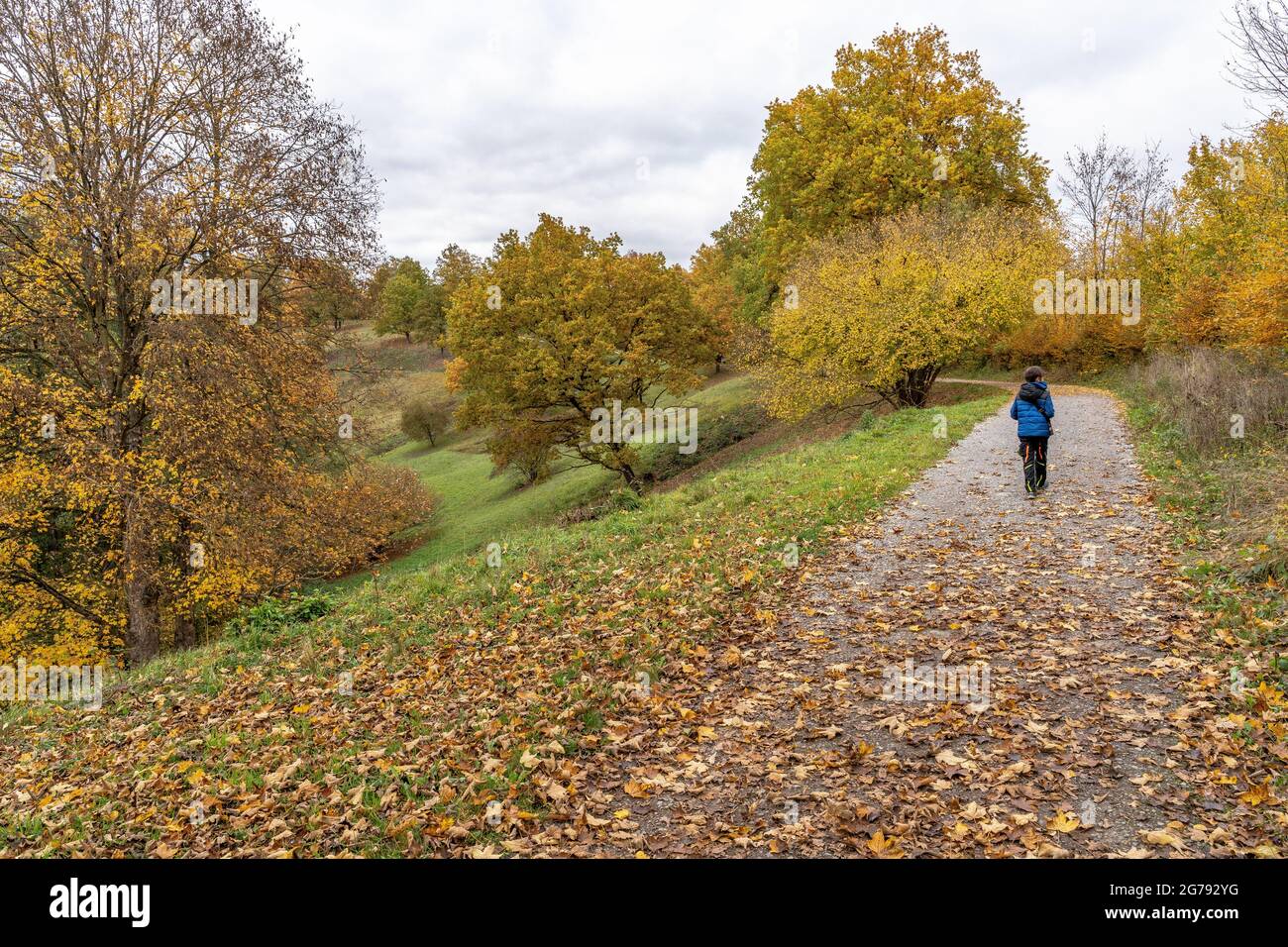 Europe, Germany, Baden-Wuerttemberg, Stuttgart, boy walks in the nature reserve Eichenhain in Stuttgart Stock Photo