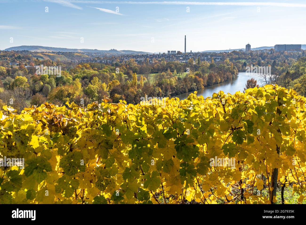 Europe, Germany, Baden-Wuerttemberg, Stuttgart, view from the autumnal vineyard Cannstatter Zuckerle on the Neckar Stock Photo