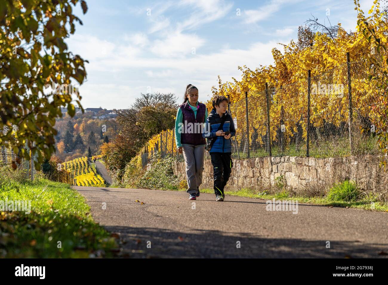 Europe, Germany, Baden-Wuerttemberg, Stuttgart, mother and son hike through the Cannstatter Zuckerle vineyard near Stuttgart Stock Photo
