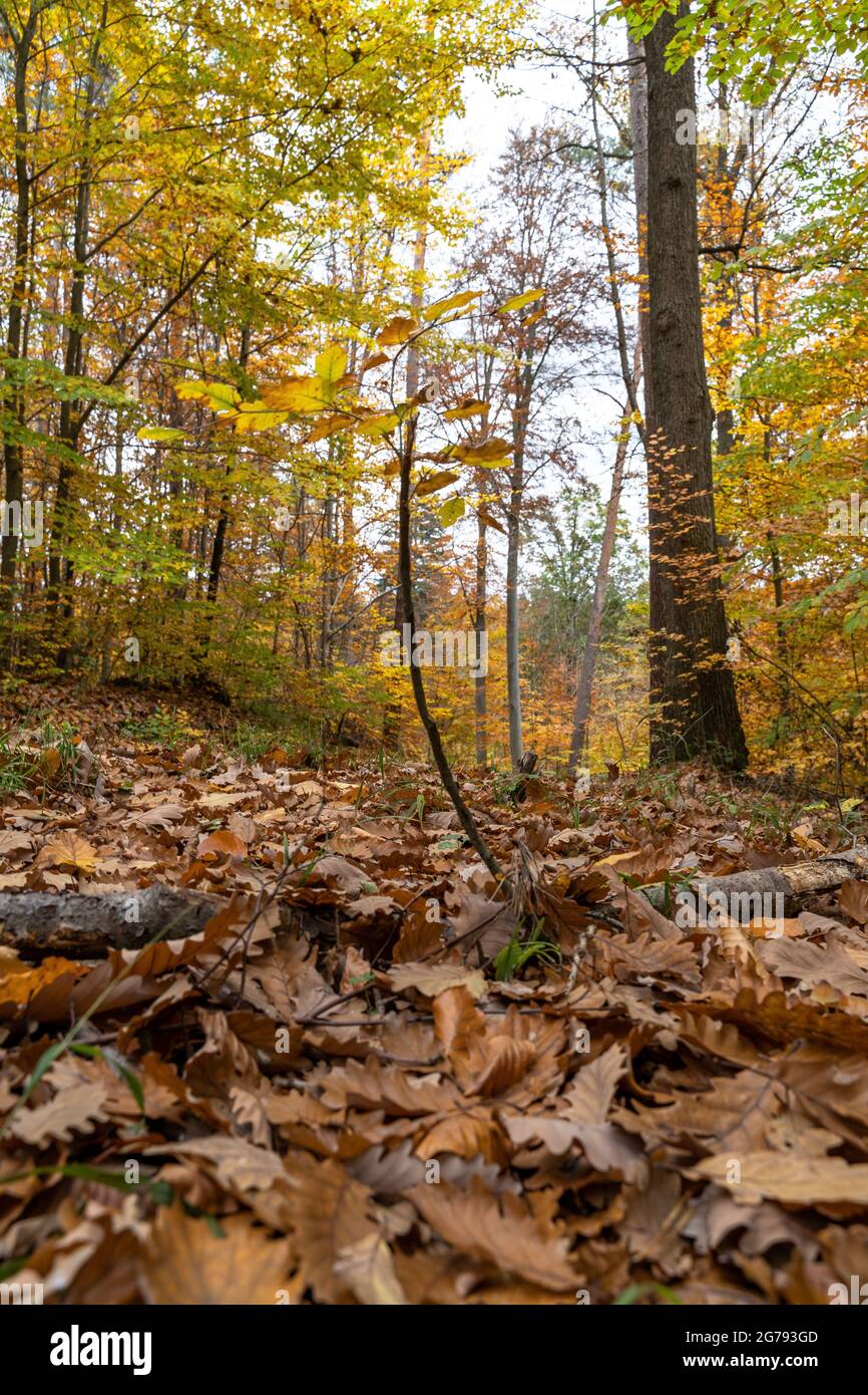 Southern colours hi-res stock photography and images - Alamy