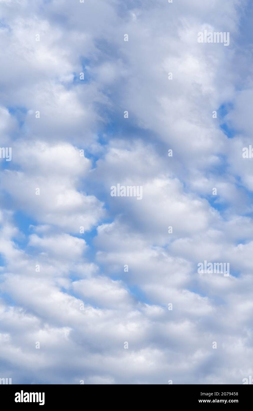 Altocumulus clouds in the blue sky, natural background or wallpaper ...