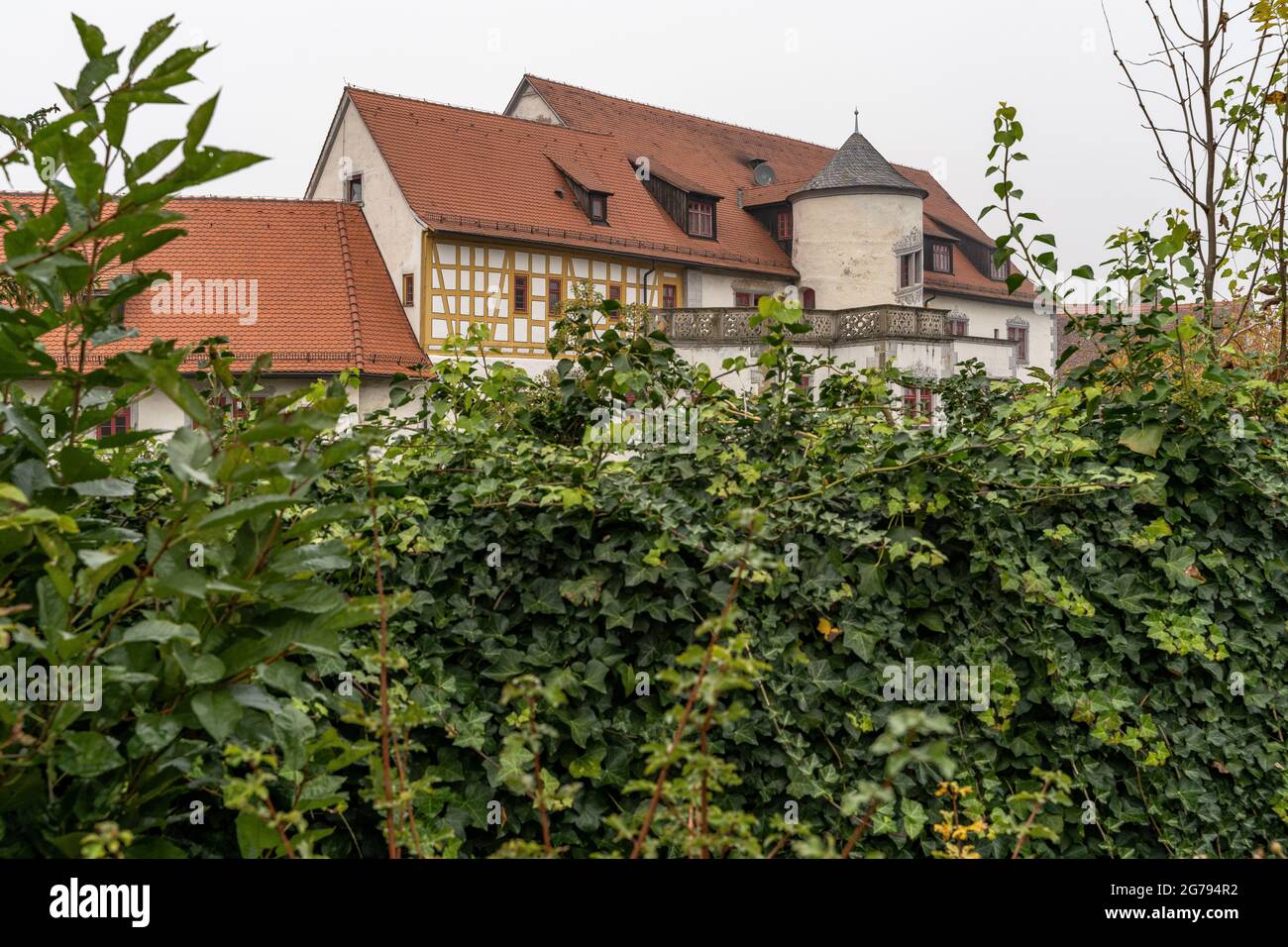 Europe, Germany, Baden-Wuerttemberg, Neckar Valley, Neckarwestheim, Liebenstein Castle, view over a bush to Liebenstein Castle Stock Photo