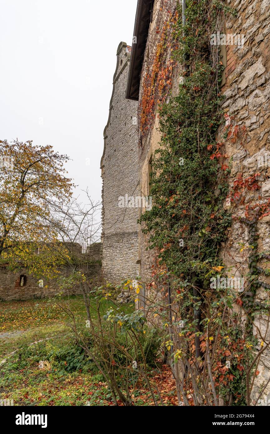 Europe, Germany, Baden-Wrttemberg, Neckar Valley, Neckarwestheim, Liebenstein Castle, overgrown wall in the Liebenstein castle complex Stock Photo
