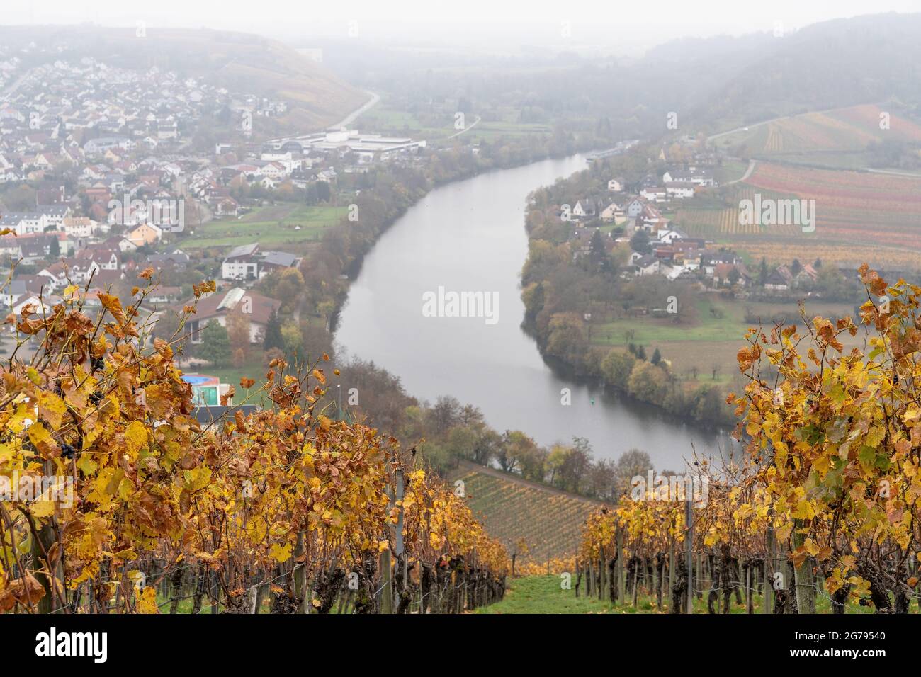 Europe, Germany, Baden-Wuerttemberg, Neckar Valley, Mundelsheim, view from the Käsbergkanzel to the Neckar loop near Mundelsheim Stock Photo
