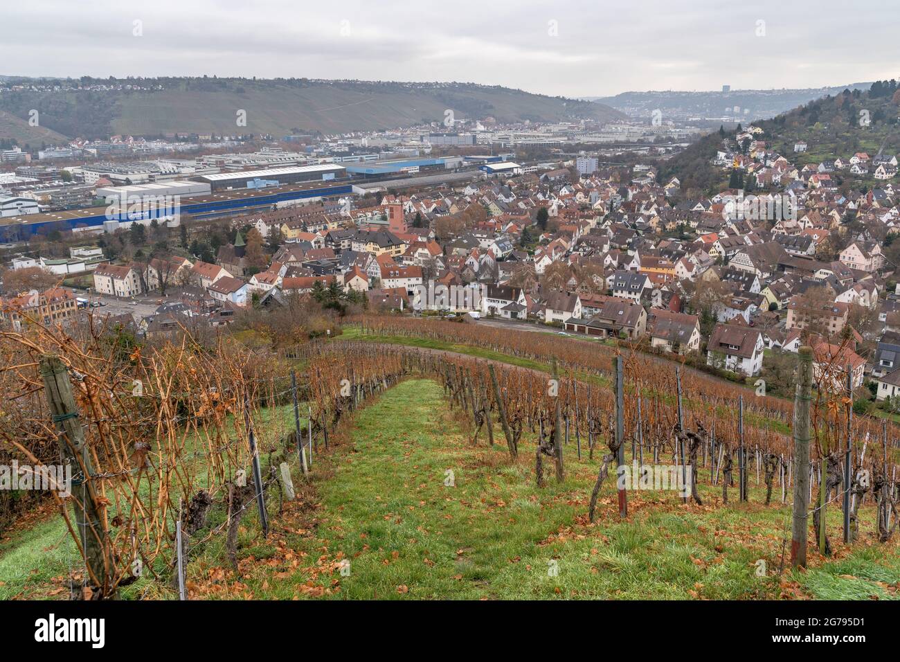 Europe, Germany, Baden-Wuerttemberg, Stuttgart, Wangener Höhe, view from the vineyard down into the Neckar valley and onto Hedelfingen Stock Photo