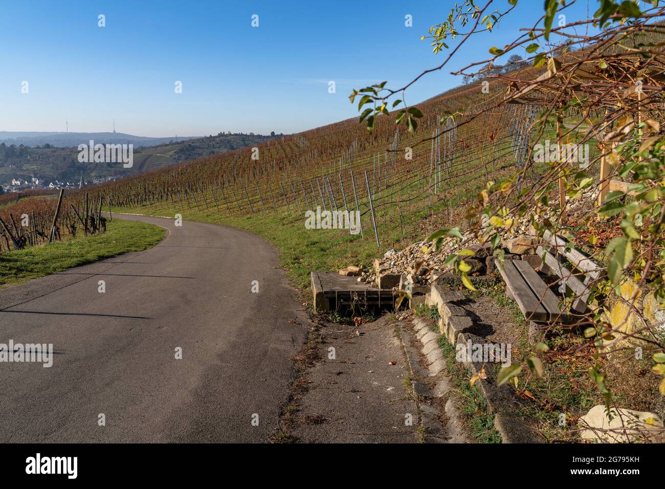 Vineyard above uhlbach with a view of the wangener hohe hires stock