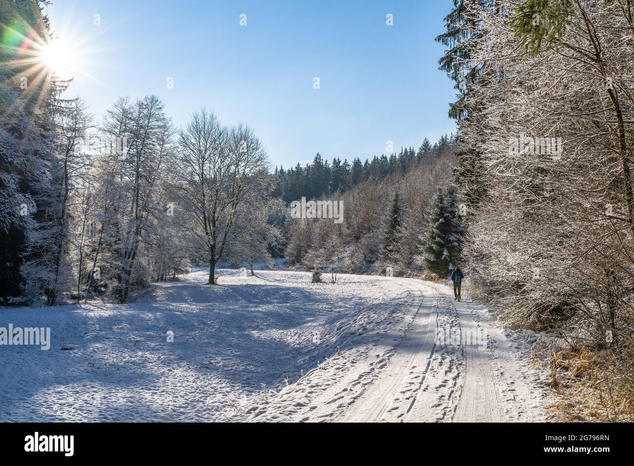Europe, Germany, Baden-Wuerttemberg, Schönbuch Region, Schönbuch Nature Park, hikers in the sunny Goldersbachtal in winter Stock Photo