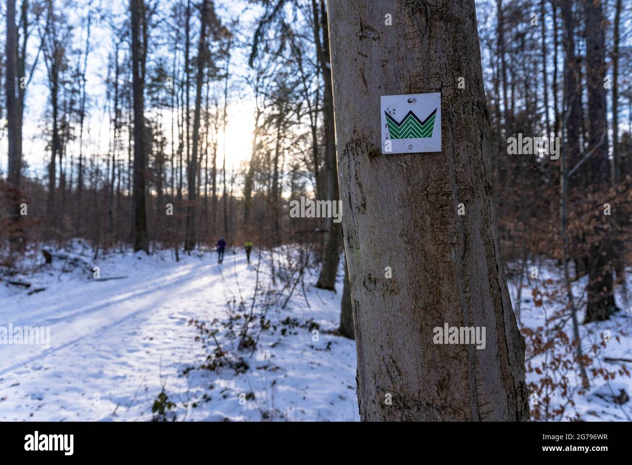 Europe, Germany, Baden-Wuerttemberg, Schönbuch region, Waldenbuch, Herzog-Jäger-Path, path marking on a tree next to the snow-covered forest path Stock Photo