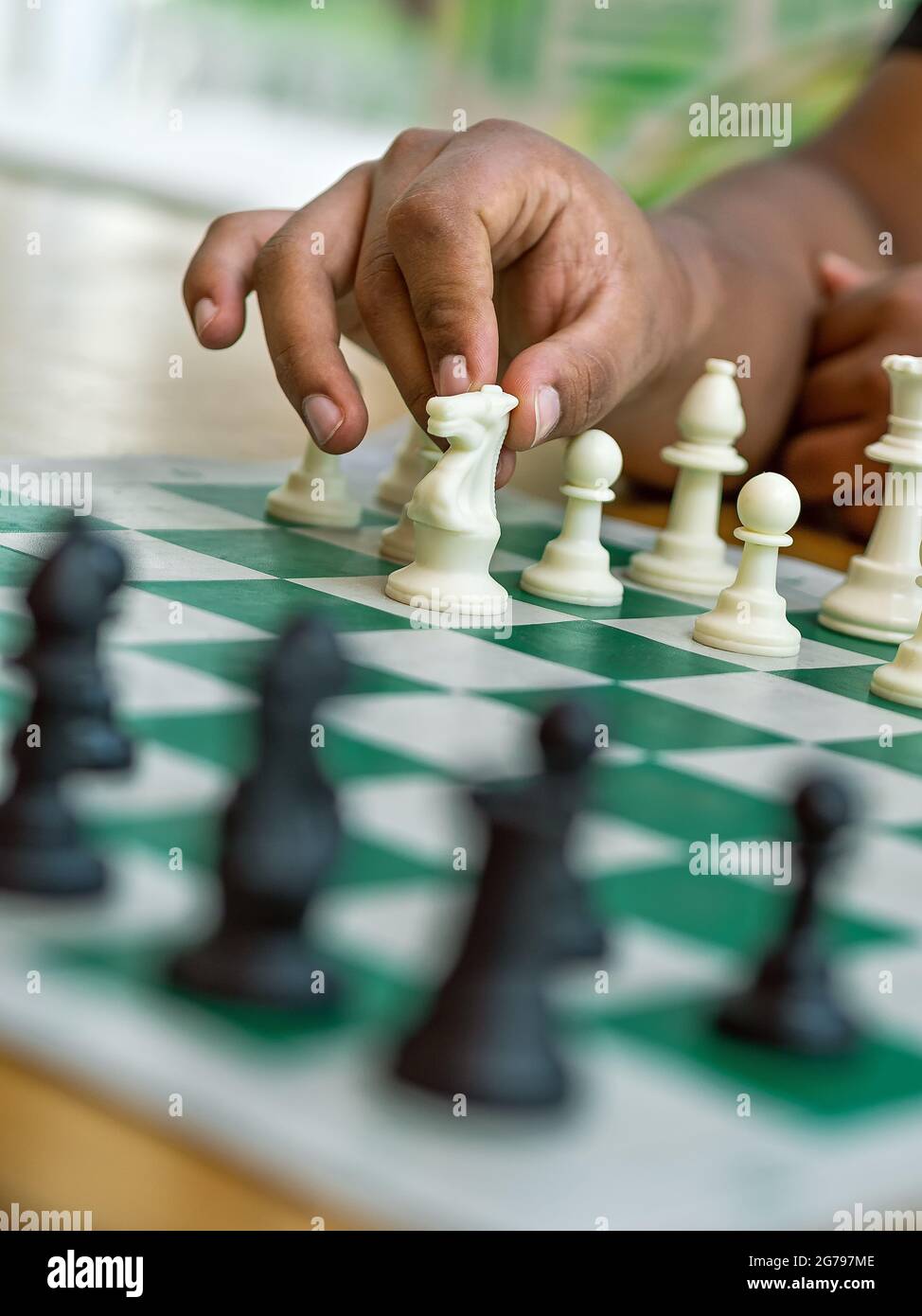 Chess game on a green board, a hand holds a white knight Stock Photo
