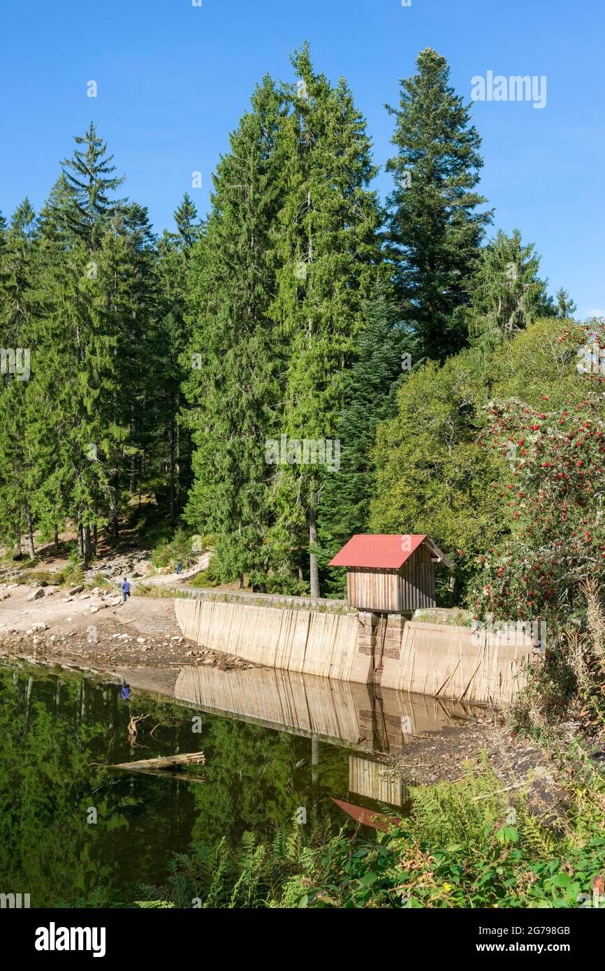 Germany, Baden-Wuerttemberg, Bad Rippoldsau-Schapbach, Glaswaldsee near Bad  Rippoldsau-Schapbach, a cirque lake on the eastern slope of the Lettstädter  Höhe in the Black Forest Middle / North Nature Park Stock Photo - Alamy