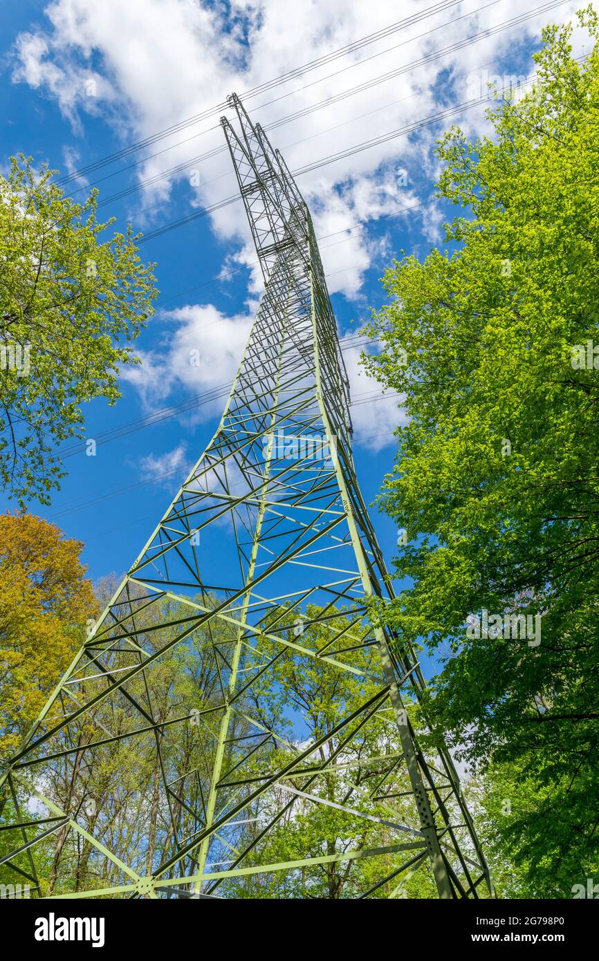 Overhead line mast, high voltage line in the Nollenwald near Metzingen Stock Photo