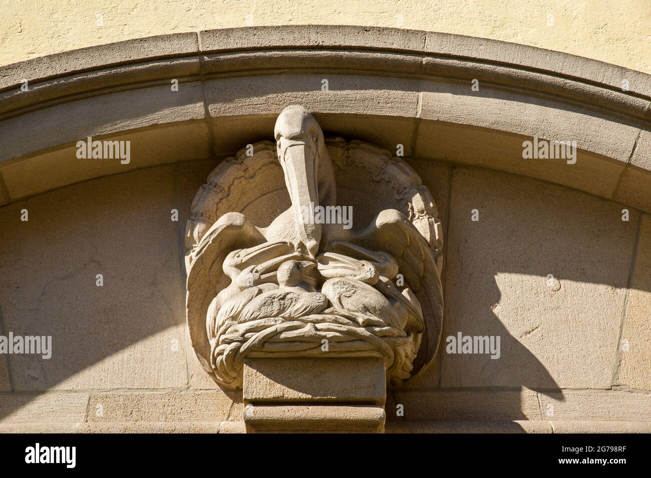 As a symbol of Jesus Christ, pelicans are also part of Christian iconography. This goes back to the old belief that the pelican feeds its young with its own blood. This behavior has been compared to Christ giving his blood and with it his life for the people. Stock Photo