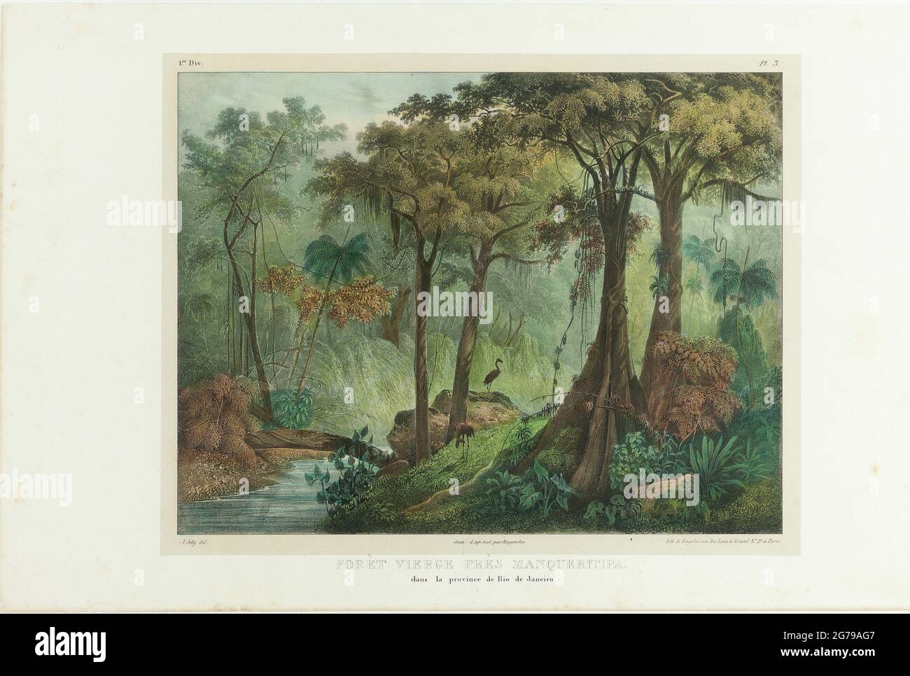 Virgin Forest Near Manqueritipa. From 'Malerische Reise in Brasilien'. Museum: PRIVATE COLLECTION. Author: JOHANN MORITZ RUGENDAS. Stock Photo