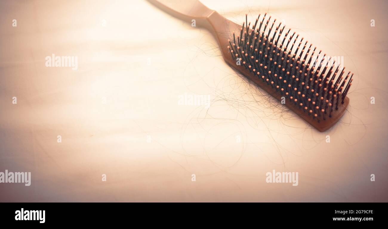 Blurry of Hairs fall in comb, hair fall everyday serious problem.Cross processing and Split tone instragram like process. Stock Photo