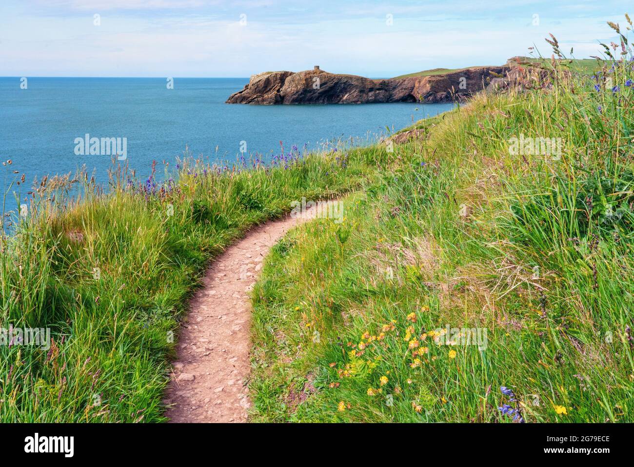Well-trodden section of the Wales Coast Path as it approaches Abereiddy in Pembrokeshire South Wales UK Stock Photo