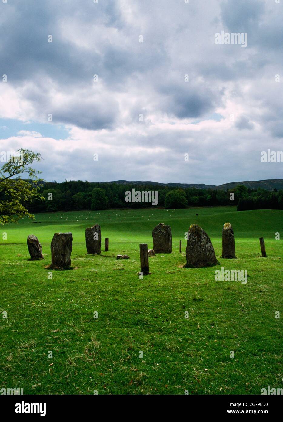 Looking SSE at the six stones of Kinnell Bronze Age stone circle situated in parkland SW of Kinnell House, Killin, Stirling, Scotland, UK. Stock Photo
