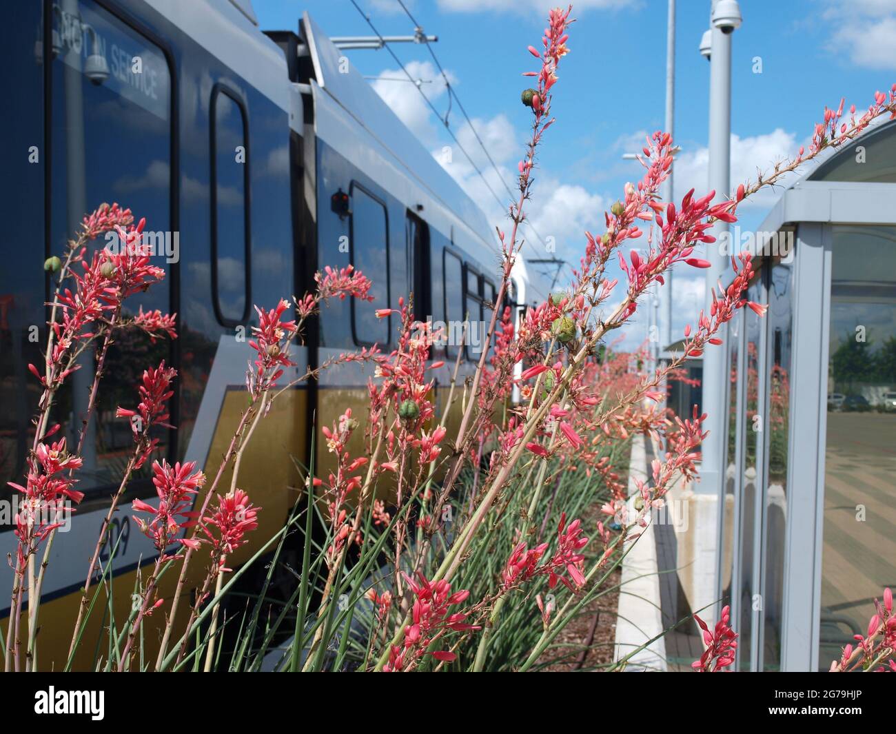 Beauty from North to South on a light rail Stock Photo