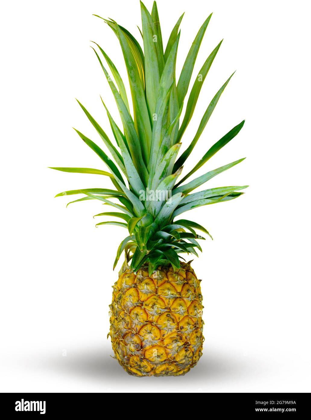 Pineapple on isolated white background Stock Photo