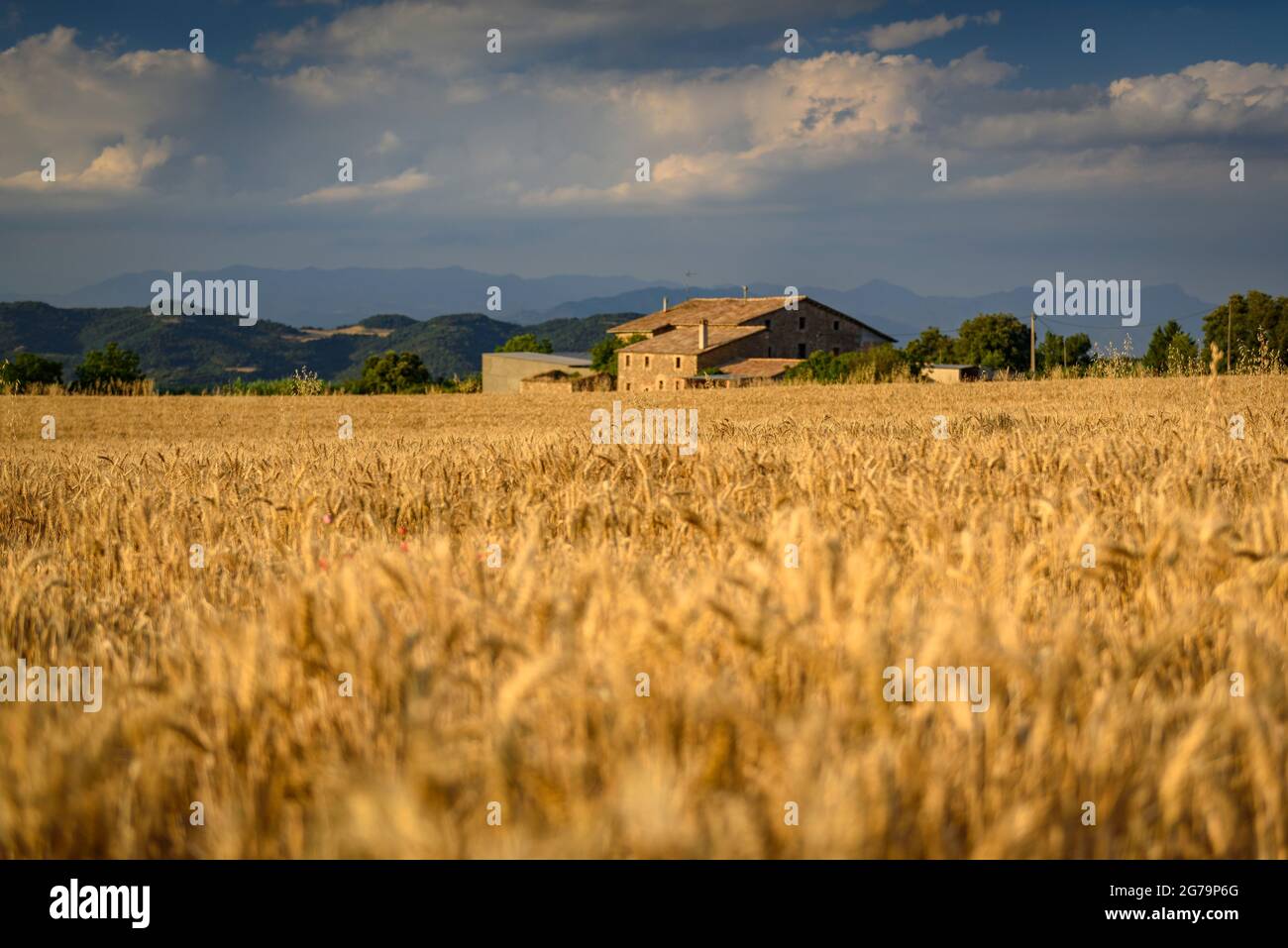 Casa de verano en el campo hi-res stock photography and images - Alamy