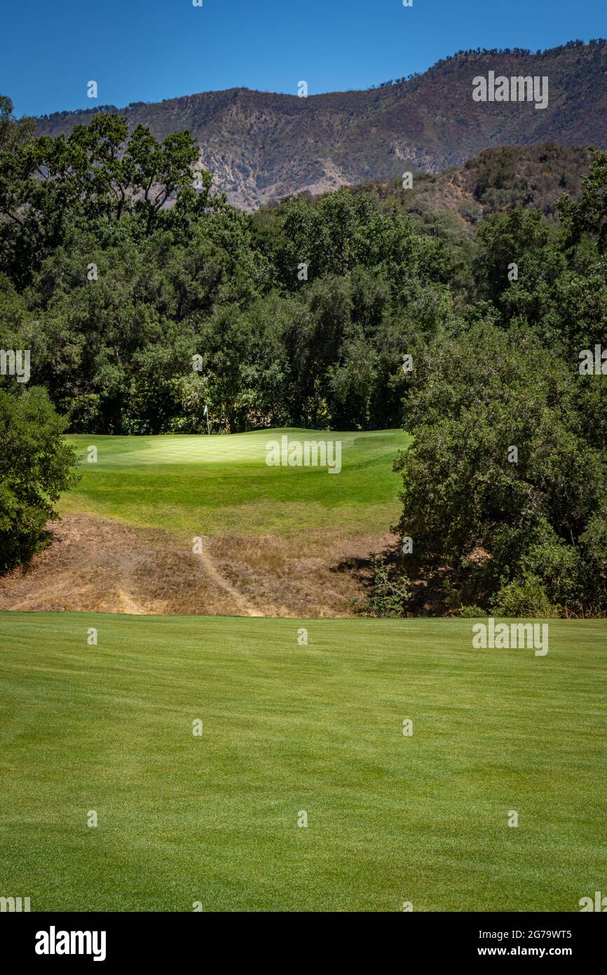 Spotlight of sun on golf course green surrounded by trees Stock Photo