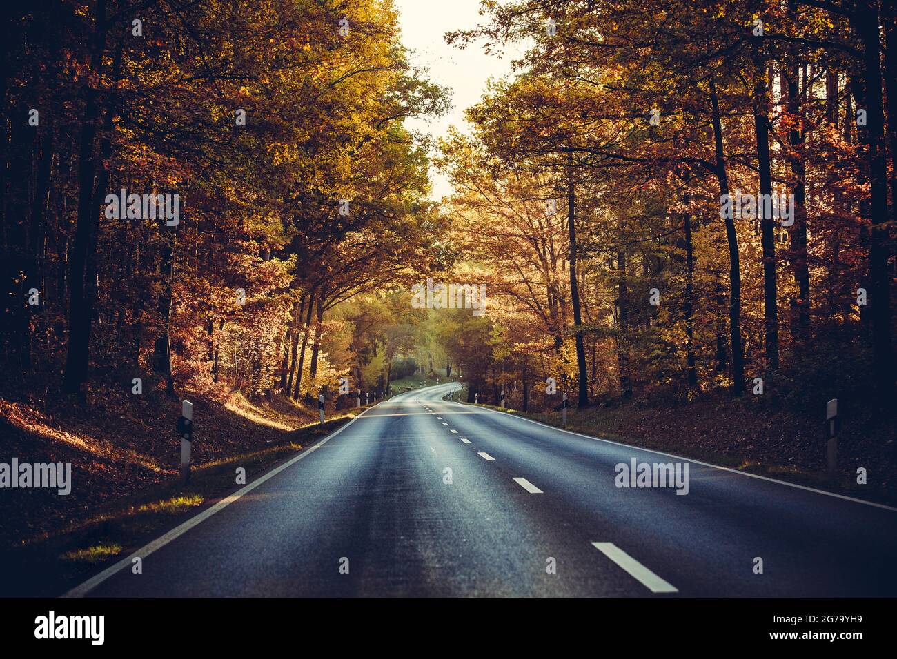 autumn road Stock Photo