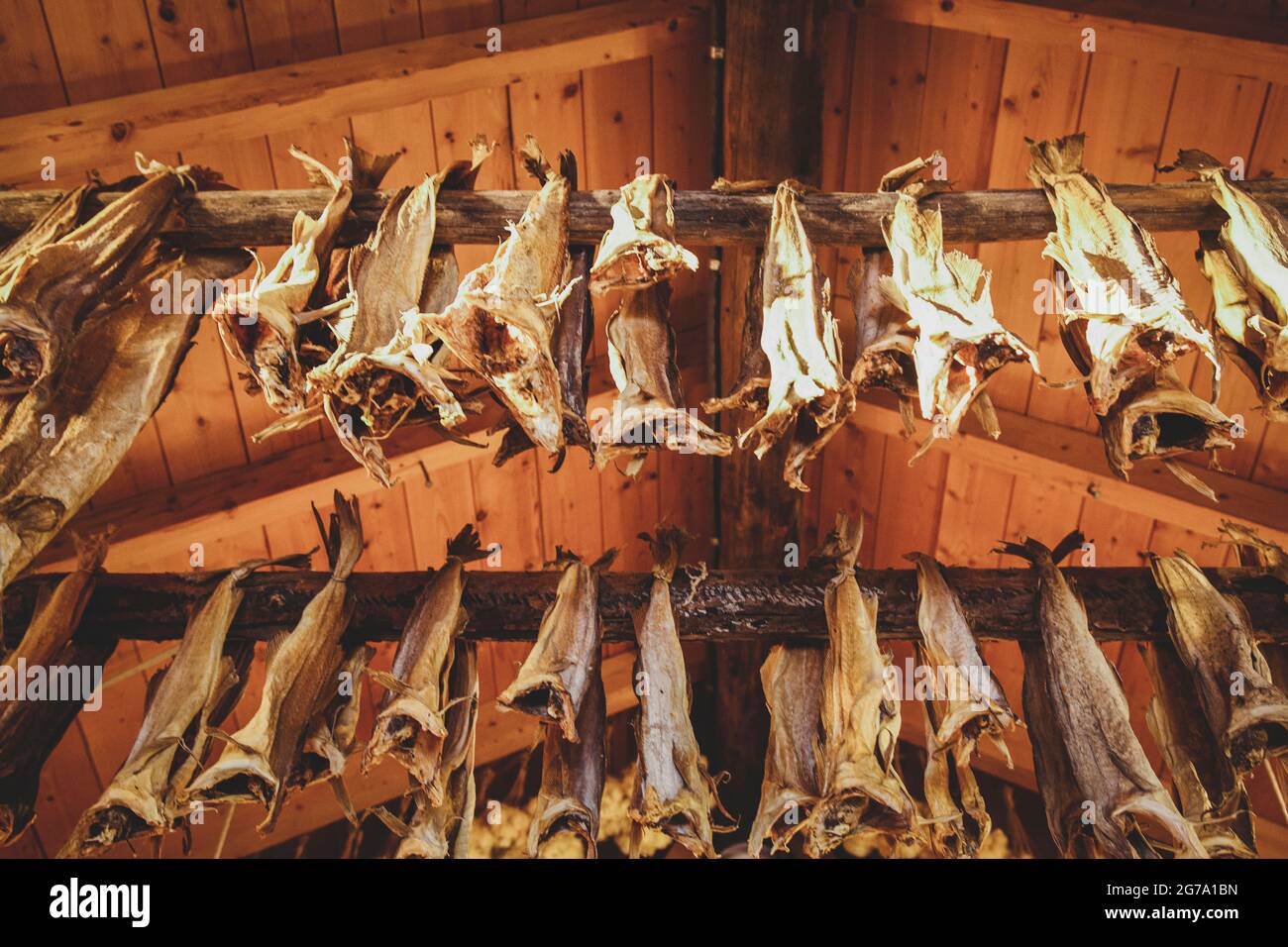 Dried fish, nutrition, Finnmark, Norway Stock Photo Alamy
