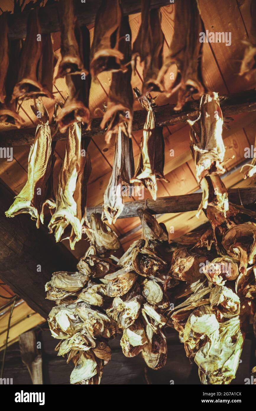 Dried fish, nutrition, Finnmark, Norway Stock Photo Alamy