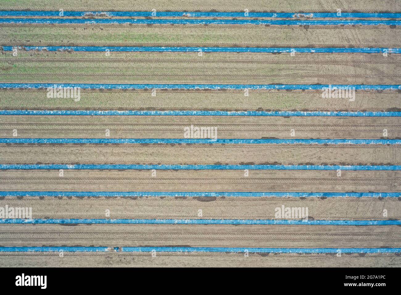 Asparagus fields from the air Stock Photo