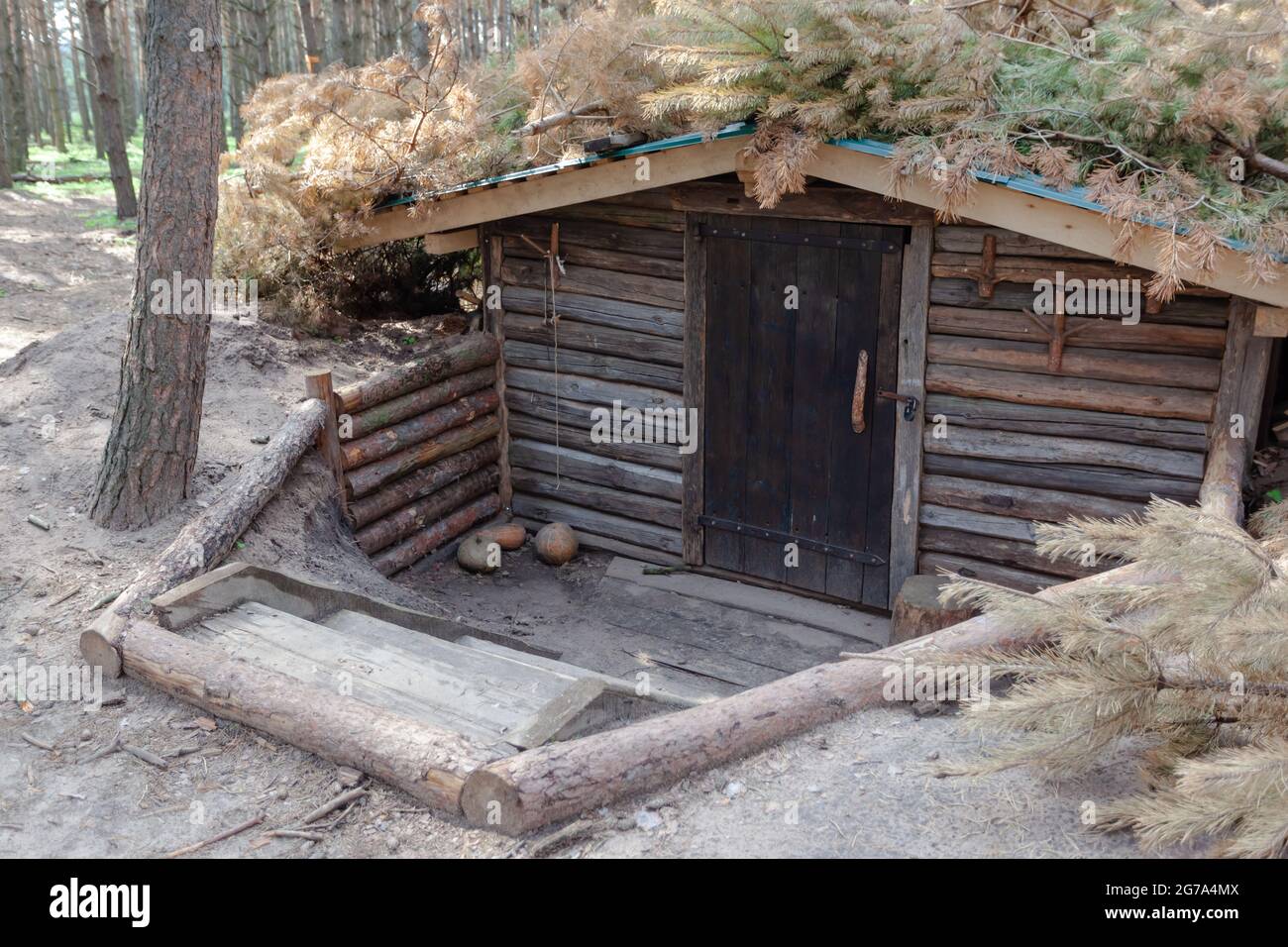 entrance to the dugout, dugout in the summer forest Stock Photo